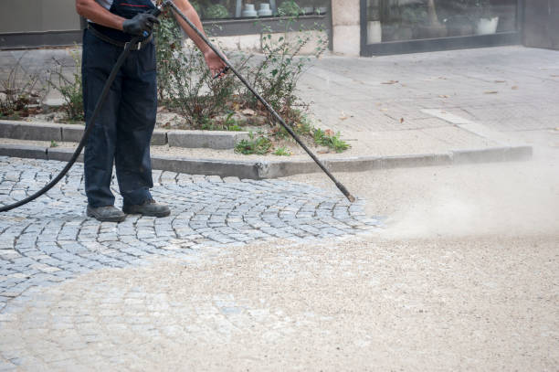 Best Factory Floor Cleaning  in Lake Holiday, IL